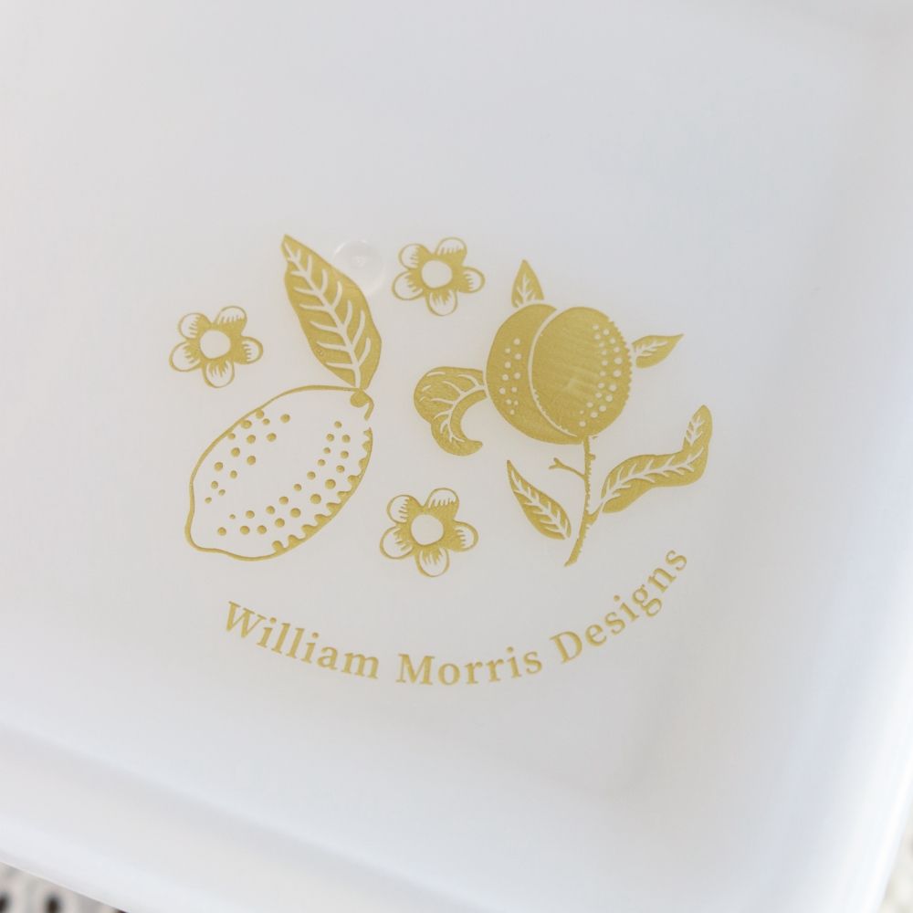 オシャレで重宝しちゃう♪  モリス・フードストレージ3個セット DM1-3663203