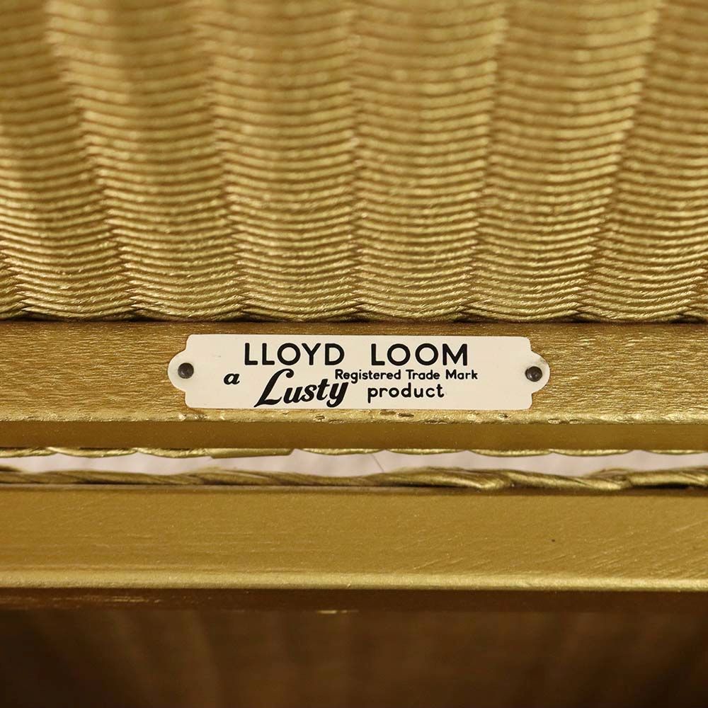 オシャレな収納ボックス♪ ロイドルームバスケット VC110-216