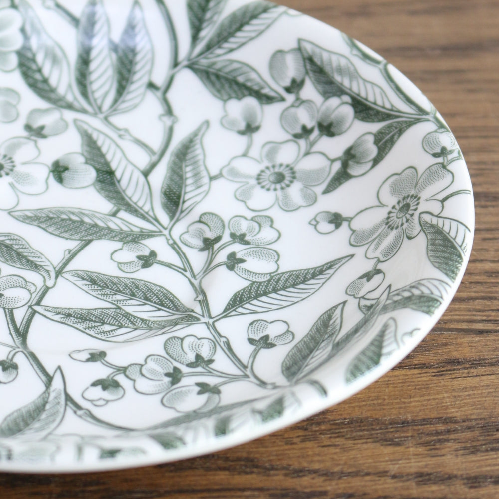 カップ&ソーサー バーレイ社 グリーンプルナス 【日本限定発売】 TI1-E16G00