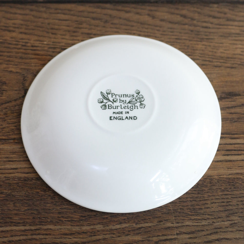 カップ&ソーサー バーレイ社 グリーンプルナス 【日本限定発売】 TI1-E16G00