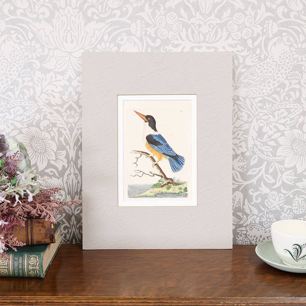 アンティーク雑貨 – アンティーク家具と雑貨の店 ビクトリアンクラフト