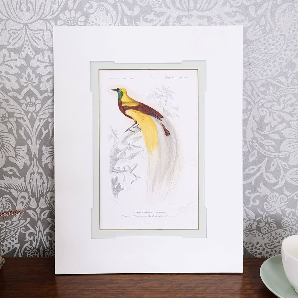 アンティーク雑貨 – アンティーク家具と雑貨の店 ビクトリアンクラフト