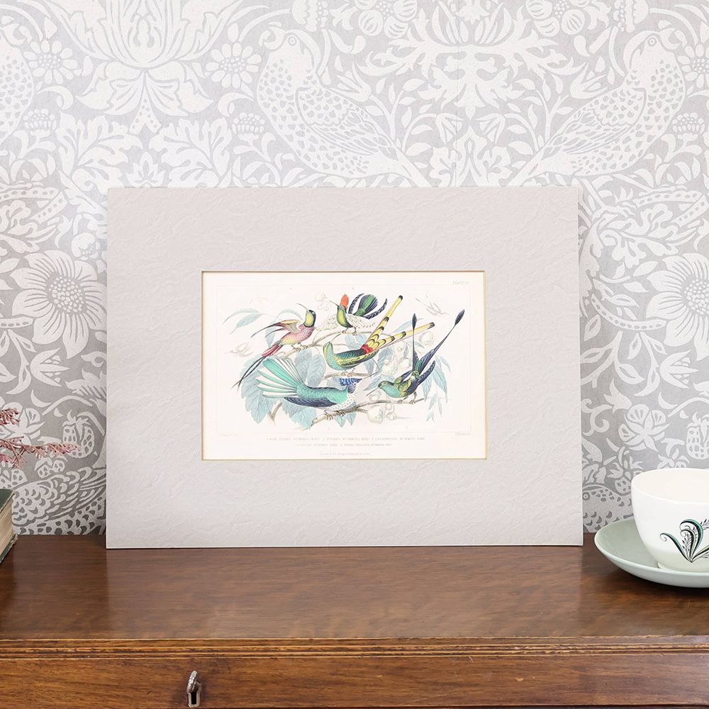 アンティーク雑貨 – アンティーク家具と雑貨の店 ビクトリアンクラフト